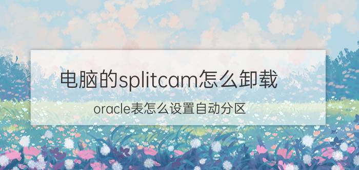 电脑的splitcam怎么卸载 oracle表怎么设置自动分区？